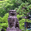 狛犬