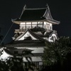 国宝犬山城