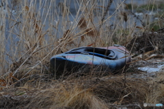 カヌーボートの死骸（ kenko1.4xテレプラスプロ３００DGX使用）