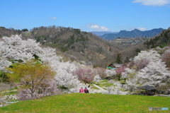 仲良し