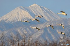 常念岳をバックに