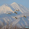 常念岳をバックに