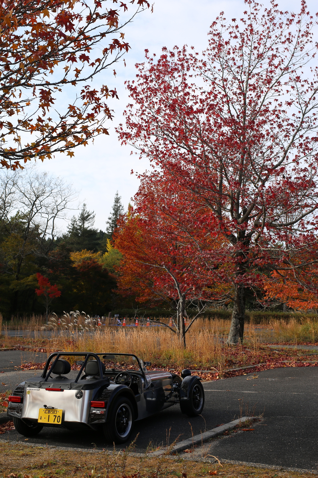 一気に紅葉、そして初冬