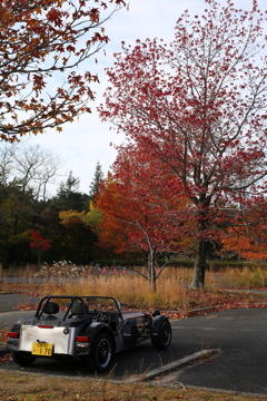 一気に紅葉、そして初冬