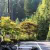夏の思い出