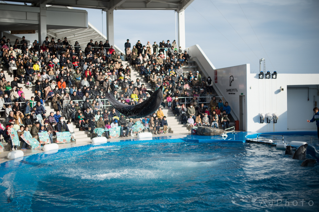 仙台うみの杜水族館