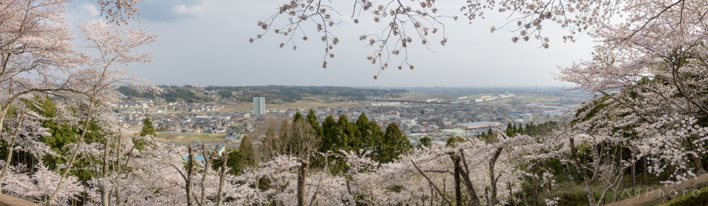 宮城県　利府町　館山公園