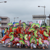どんとロード八幡雀踊り 2015