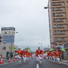 どんとロード八幡雀踊り 2015