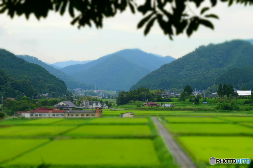 なんともない田舎の風景   蔵出し