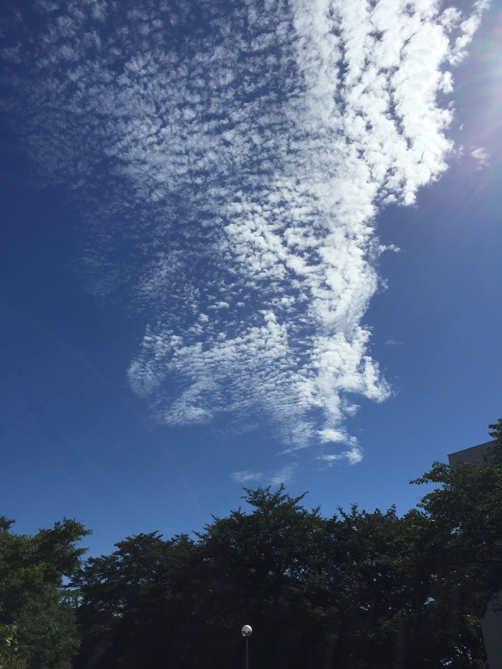 横浜の夏空