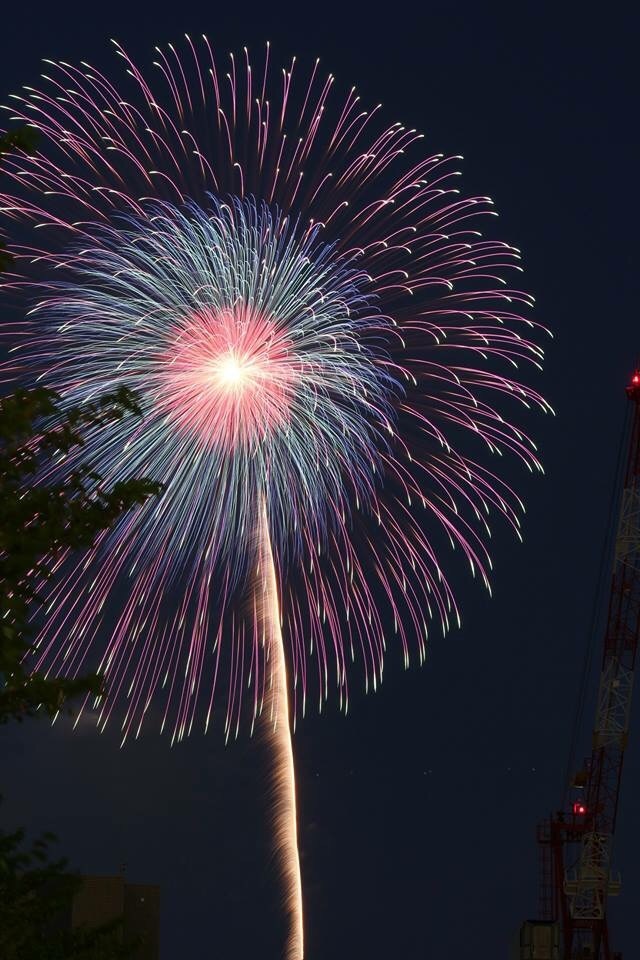 神奈川新聞花火 in みなとみらい