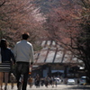 春を感じて