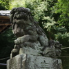 氷川の狛犬