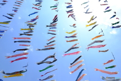こどもの日