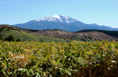 御嶽山