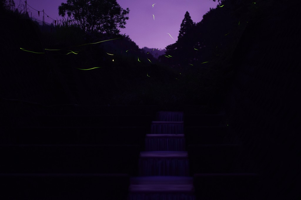 蛍-2