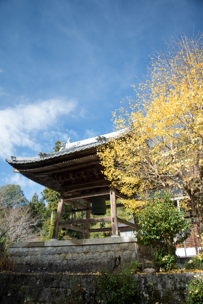 秋寺-1-
