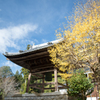 秋寺-1-