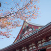 浅草旅行記