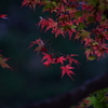 香嵐渓-2
