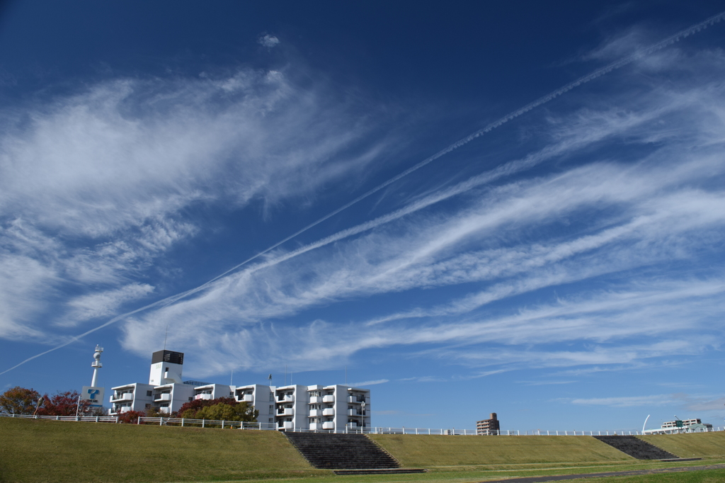 Contrail