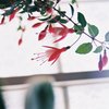 初フィルム-03