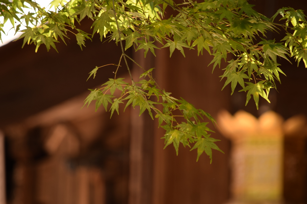 神社の軒先