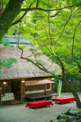 春日大社　水谷茶屋