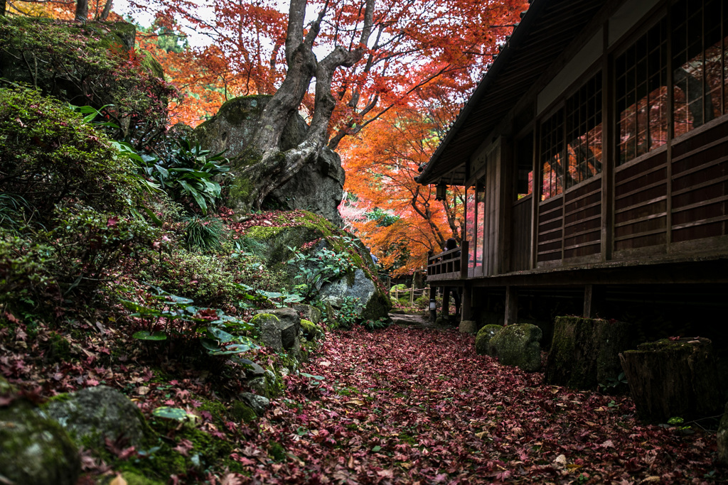 晩秋・寸景1/2
