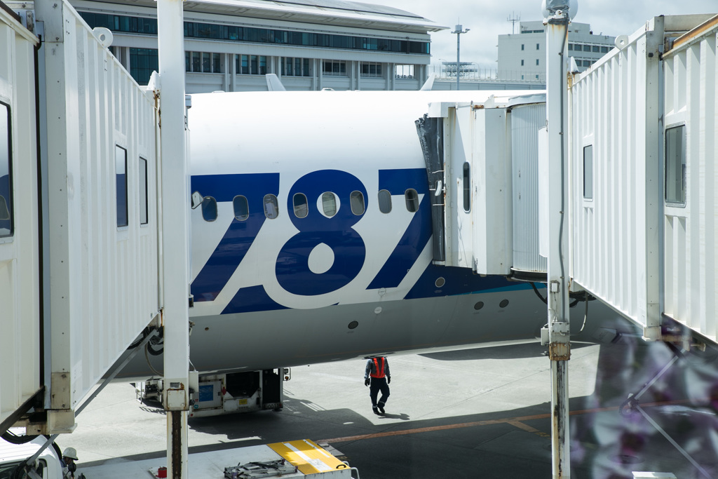 787枚目