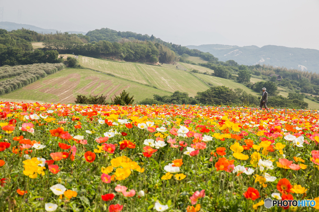 花道を行く