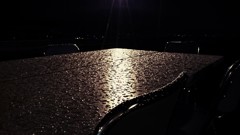 京都の夜は雨