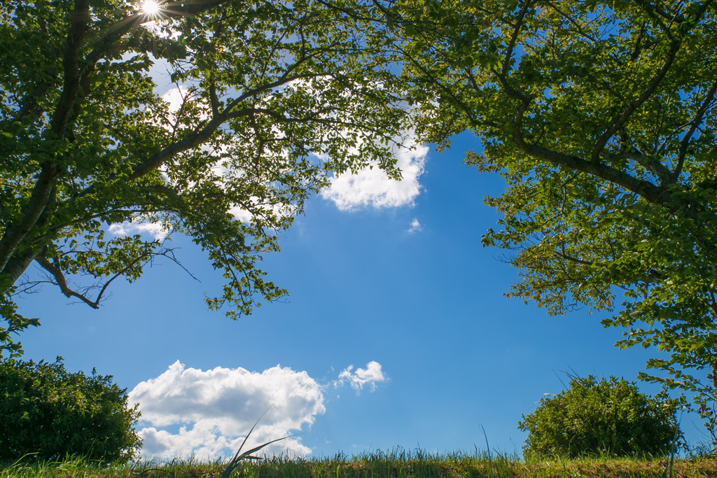 Green越しのBlue sky