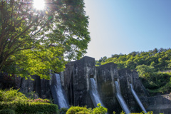 萌木と堰堤