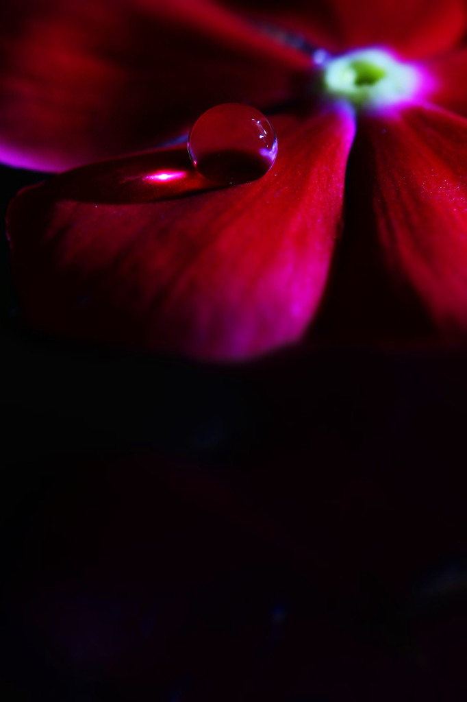 光華