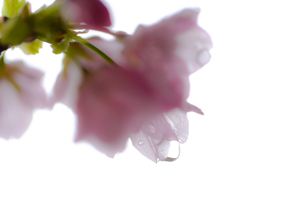 背景は雨の空