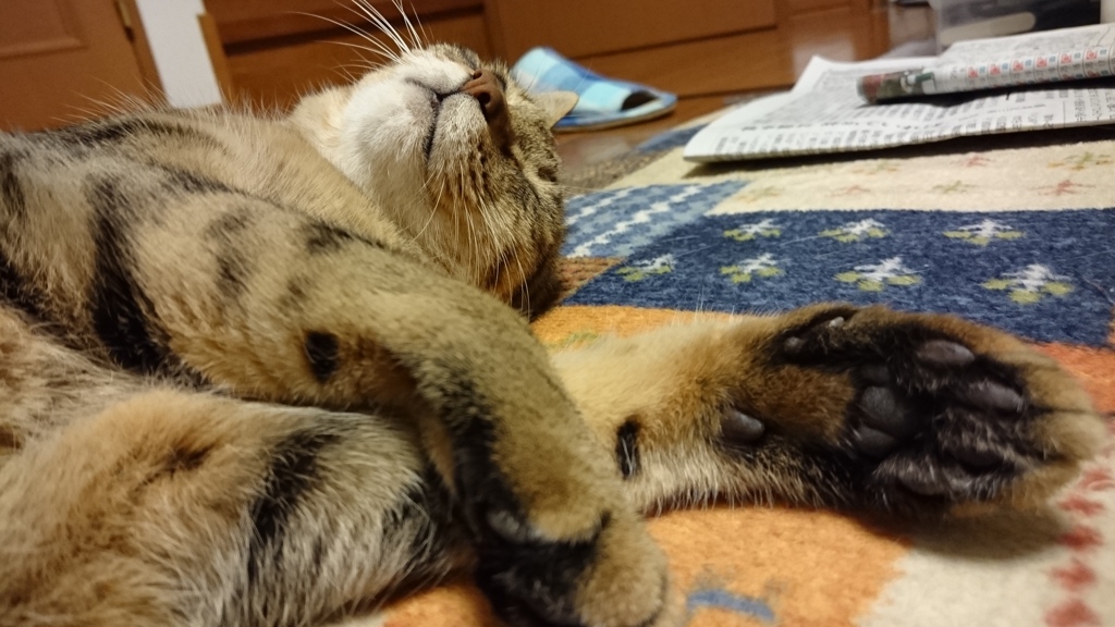 だるーい…