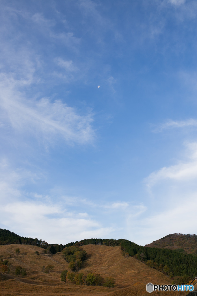 とある秋景