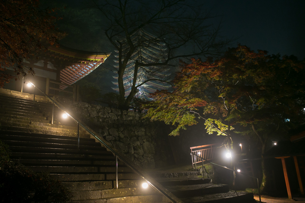 霧中の談山神社