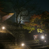 霧中の談山神社