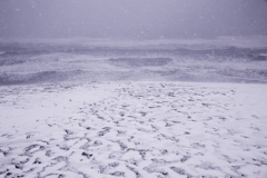 馬の背越し の海