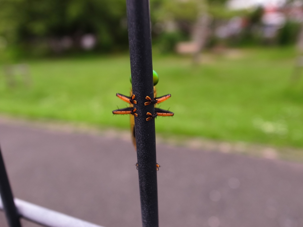掴まり立ち