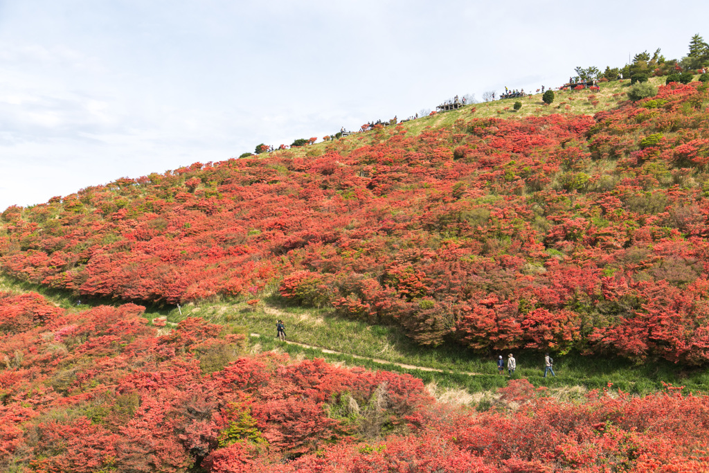 展望台を望む