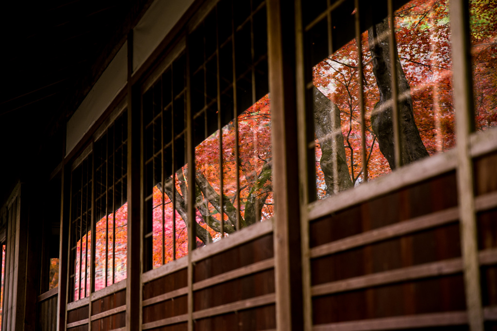 和・reflection