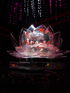 DSC00987