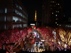 六本木  けやき坂