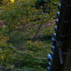 P1060506