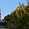 P1060504