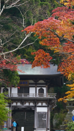 P1060609